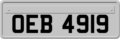 OEB4919