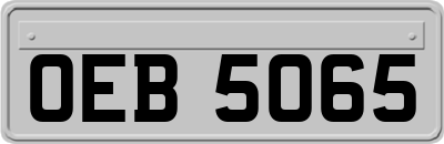OEB5065