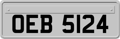 OEB5124