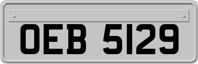 OEB5129