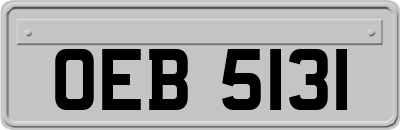 OEB5131