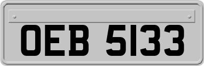 OEB5133