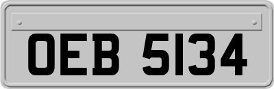 OEB5134
