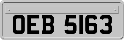 OEB5163