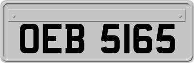 OEB5165