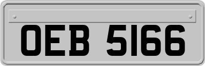 OEB5166