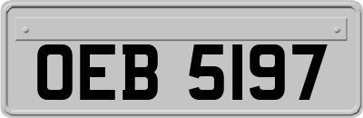 OEB5197
