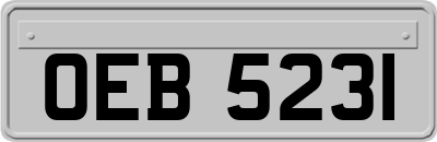 OEB5231