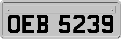 OEB5239