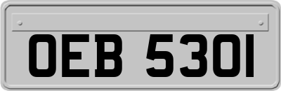 OEB5301