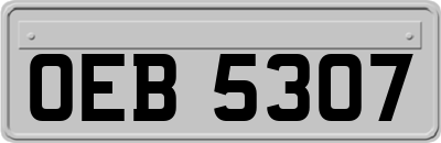 OEB5307