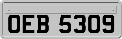 OEB5309