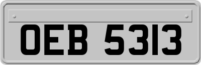 OEB5313