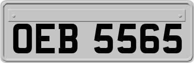 OEB5565