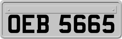 OEB5665