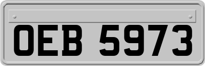 OEB5973