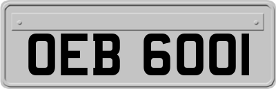 OEB6001