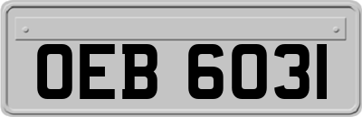 OEB6031