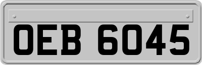 OEB6045