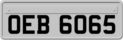 OEB6065