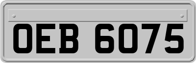 OEB6075