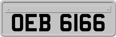 OEB6166
