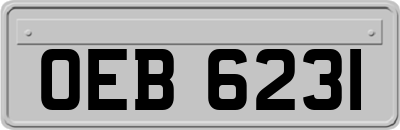 OEB6231