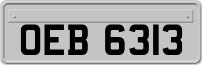 OEB6313