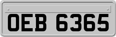 OEB6365
