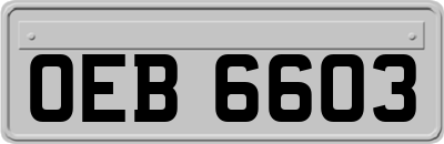 OEB6603
