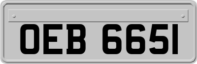 OEB6651