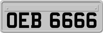 OEB6666