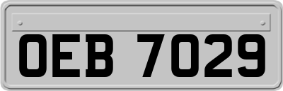 OEB7029
