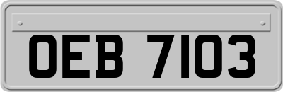 OEB7103