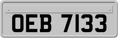OEB7133