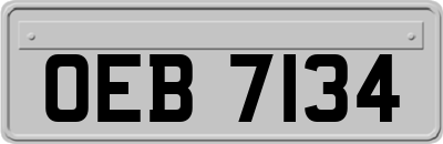 OEB7134
