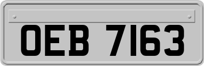 OEB7163