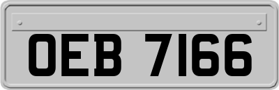 OEB7166
