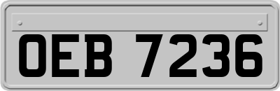 OEB7236