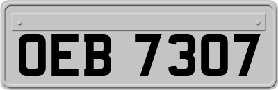 OEB7307
