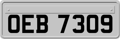 OEB7309