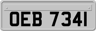 OEB7341