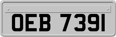 OEB7391