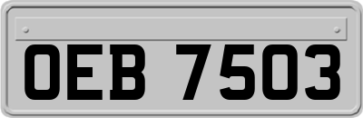 OEB7503