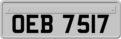 OEB7517