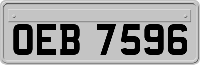 OEB7596