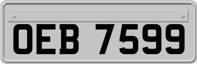 OEB7599
