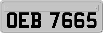 OEB7665