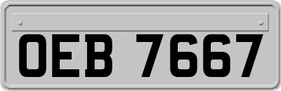 OEB7667