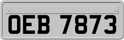 OEB7873